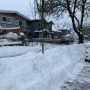 캐나다 밴쿠버 날씨 재질 미침 멈춰버린 도시