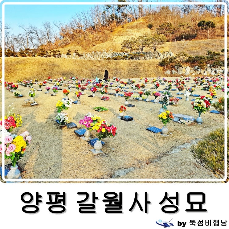 설날 맞이 양평 갈월사 방문 성묘 꽃 교체했어요 : 네이버 블로그