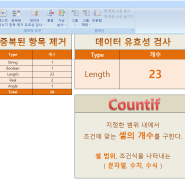 엑셀 COUNTIF 함수로 조건에 맞는 셀의 개수 구하기(데이터 유효성 검사, 중복된 항목 제거)