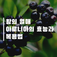 왕의 열매 아로니아의 효능과 복용법