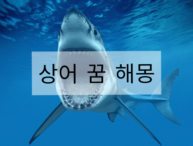 상어 꿈 해몽 상어 태몽 상어 잡는 꿈 상어에게 물리는 꿈 : 네이버 블로그