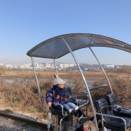 경기도 아이랑 가볼만한곳 의왕레일바이크