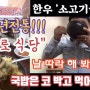 [경남맛집/의령맛집]60년 전통 "종로식당" 보드로운 한우 고기가 듬뿍 담긴 "소고기국밥" 말해 뭐해!!!