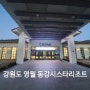 영월 동강시스타리조트 숙박 후기 (맛집,스파,식기류)