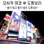 오사카 3박4일 여행 - 도톤보리 오사카 야경 - 볼거 많고 할거 많아요! + 뒷골목은 유흥가