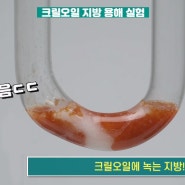 크릴오일의 효과&고르는법 모든 것을 알려드립니다 (스포츠리서치 크릴 오일, Antarctic Krill Oil, 1000 mg, 60 소프트젤)