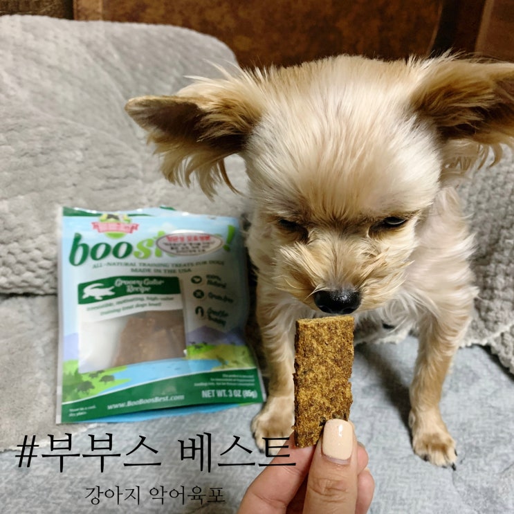 강아지 다이어트 간식: 부부스베스트 악어육포 노견도 잘 먹어요 : 네이버 블로그