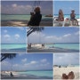 [2018-2019 Peter & Petitsam's Travel Story] Maldives (2019. 1. 10)