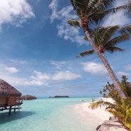 타히티 보라보라섬 자유여행 팁, 견적, 일정, 물가, 가격, 면세점 선물 추천