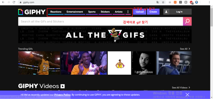39. gif 파일 저장소 : GIPHY : 네이버 블로그