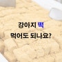 강아지 떡 먹어도 되나요?