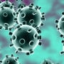 우한 폐렴 비상사태, 신종 코로나 바이러스는 얼마나 위험한가?
