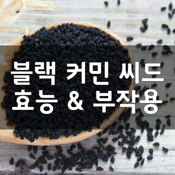 블랙커민씨드 (Black Cumin Seed) 효능, 부작용, 권장량, 제품 순위 : 네이버 블로그