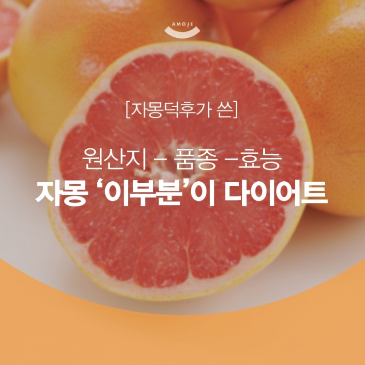 자몽 원산지마다 다른 제철 시기 확인하기! : 네이버 블로그