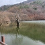 [경북 청송 여행] 봄여름가을겨울 그리고 봄의 촬영지 주왕산 주산지