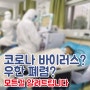 신종 코로나 바이러스, 우한폐렴의 모든 것!