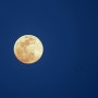 달이 참 예쁘네요.
