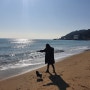 남편과의 겨울 휴가. 3주 동안의 한국.