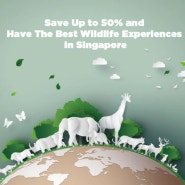 싱가포르 여행 가이드 – 싱가포르 동물원 최대 50% 할인 프로모션