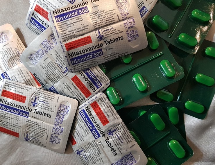 니타조사나이드(Nitaxosanide) 500mg - 항바이러스, 항원충제 니타족사나이드 : 네이버 블로그