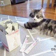 [고양이영양제] 마이펫닥터 '네바에토닉 헤어볼', 고양이츄르영양제 급여하기 너무 쉬워