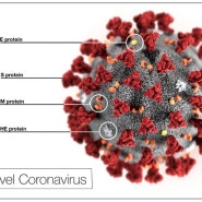 거짓과 진실 - 신종 코로나바이러스감염증(코로나19)
