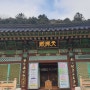 [강원도 겨울 1] 오대산 월정사, 조선왕조실록 의궤 박물관, 강릉 경포대
