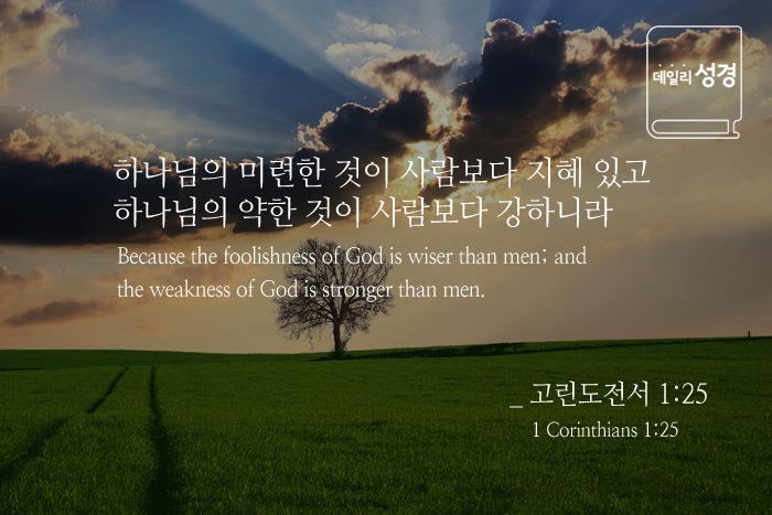 대조 신학(對照神學). 지혜(知慧) 대조 : 네이버 블로그