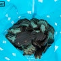 단짠단짠의 진수 초콜릿 감자칩 + 로이즈 철수의 씁쓸함 (로이스 포테이토칩 초콜릿 이시가키 소금맛 리뷰)