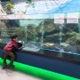 양평 민물고기 생태학습관 아이와 가볼만한 곳