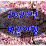 [벚꽃여행] 미리 준비하는 벚꽃투어 / 2020년 일본 벚꽃 개화시기 / 일본여행 벚꽃명소 안내