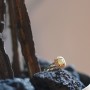 [Arwen] 옐로우 러프 다이아몬드 링 / Yellow Rough Diamond Ring