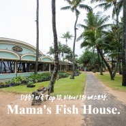 하와이여행 #6. 하와이섬 전체 1위 하와이 맛집, 마마스 피쉬 하우스. Mama's Fish House 예약. 강추하고 싶은 곳. 4살 쌍둥이남매 해외여행.