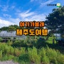 [여기가볼래 2월1주차] 제주도여행