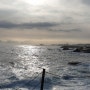 [강원도 겨울 2] 속초 휴휴암, 88 생선구이, 바다향기로, 평창 한우마을 대관령점