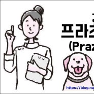 [ 강아지상식 ] 체코공화국의 미스터리 쥐잡이개 프라츠키 크리사릭 / 프라하 래터 역사와 특징