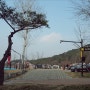 대구 도심 캠핑장 앞산공원 달서별빛캠프 야영장