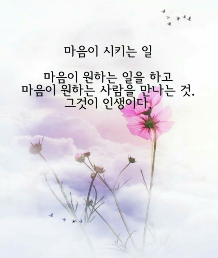 행복을 주는 좋은글 모음, 동기부여 명언 : 네이버 블로그
