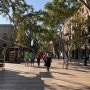 스페인신혼여행 3일째 팔색조매력 바르셀로나에 빠지다! (보케리아시장,피카소미술관,호안미로의 모자이크)낮1편
