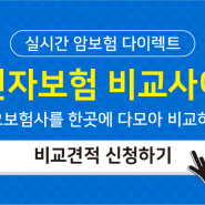 삼성화재 운전자보험