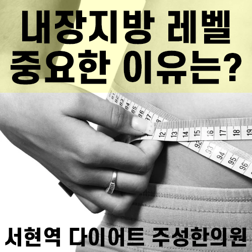 인바디 내장지방 레벨 중요한 이유는? : 네이버 블로그