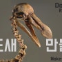 도도새 골격 복원 완료 Dodo skeleton restored
