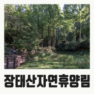 대전 가볼만한곳 장태산 자연휴양림