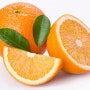 [청담피트니스 인계점] 오렌지의 효능