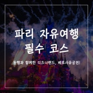 파리 자유여행 / 동행과 다녀온 디즈니랜드, 베르사유궁전 !(feat. 경비)
