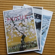 [교토스냅/오사카스냅] 벚꽃,잡지 커버사진