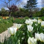 프랑스 지베르니, 그림이 살아있는 정원