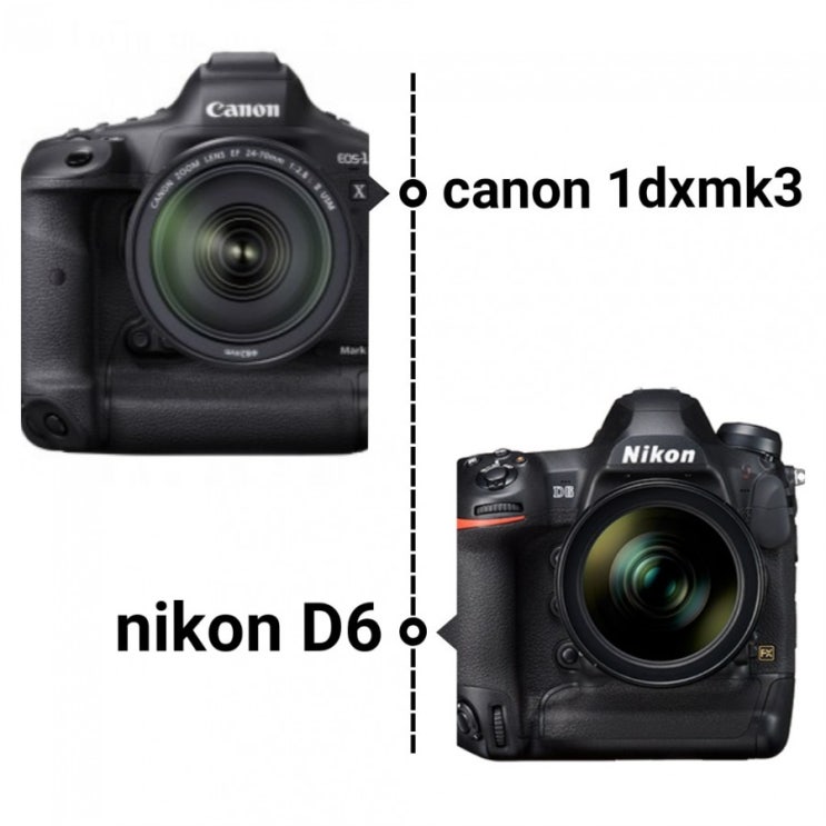캐논 vs 니콘 / 1dx mk3 vs d6 : 네이버 블로그