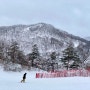 국내여행#2.용평리조트에서 보드타기