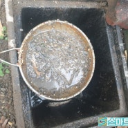 포항 식당 하수구막힘 시원하게 뚫어주는 업체 스마트설비